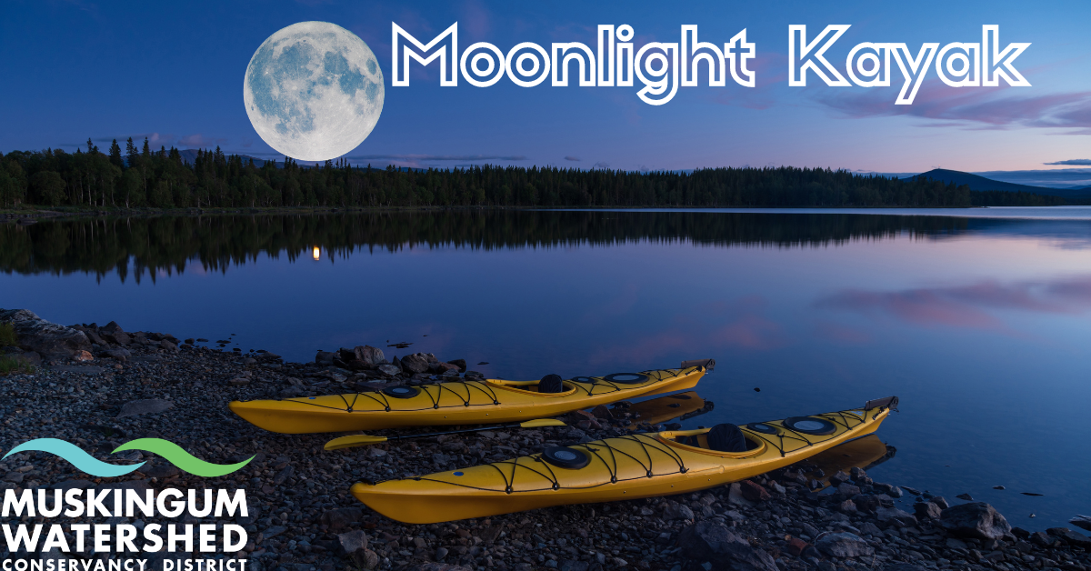 Moonlight Kayak Newsymom