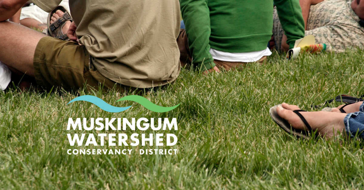 Ultimate Outdoor Concert Checklist Newsymom