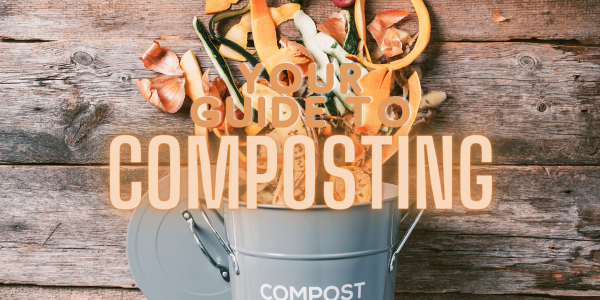 your guide to composting