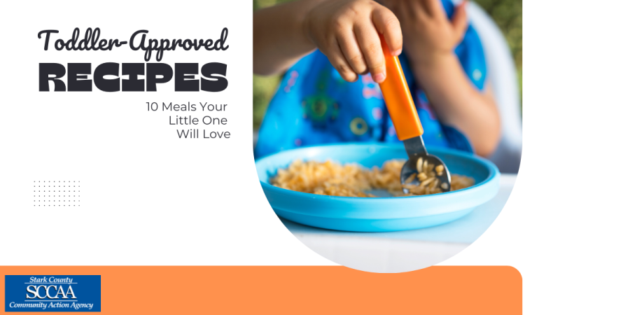 Toddler Recipes